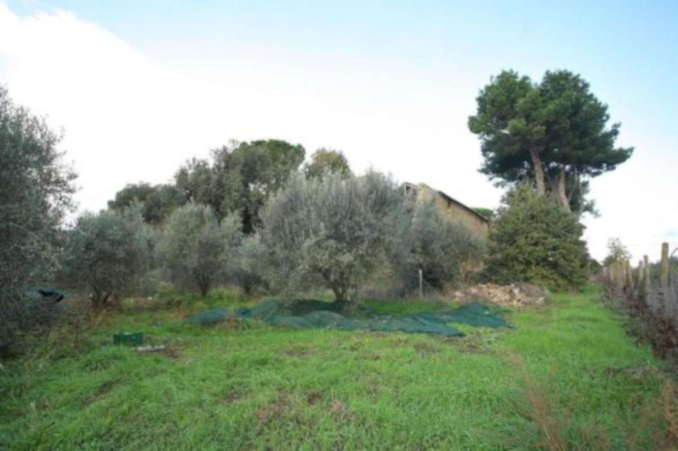 Aparthotel Antico Borgo La Commenda Montefiascone Esterno foto